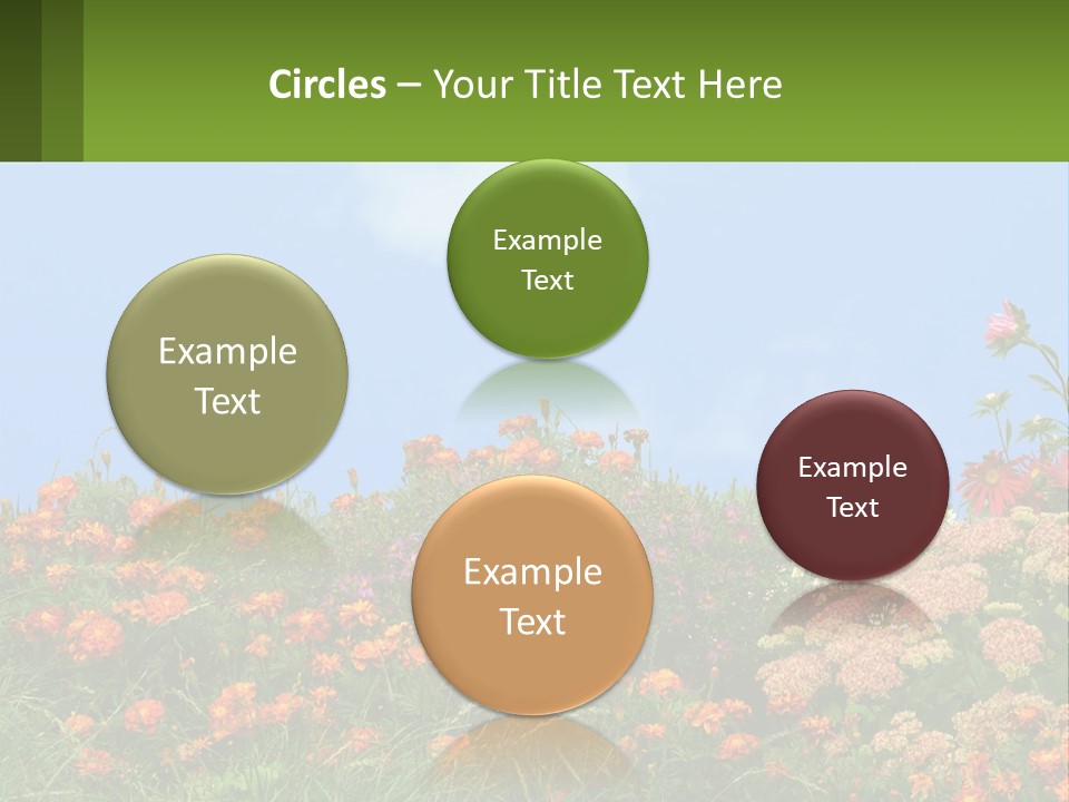 A Field Of Flowers With A Sky Background PowerPoint Template