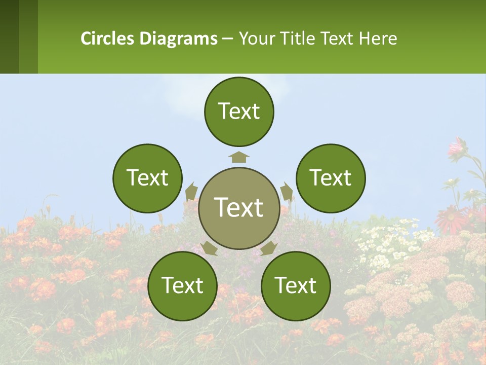 A Field Of Flowers With A Sky Background PowerPoint Template