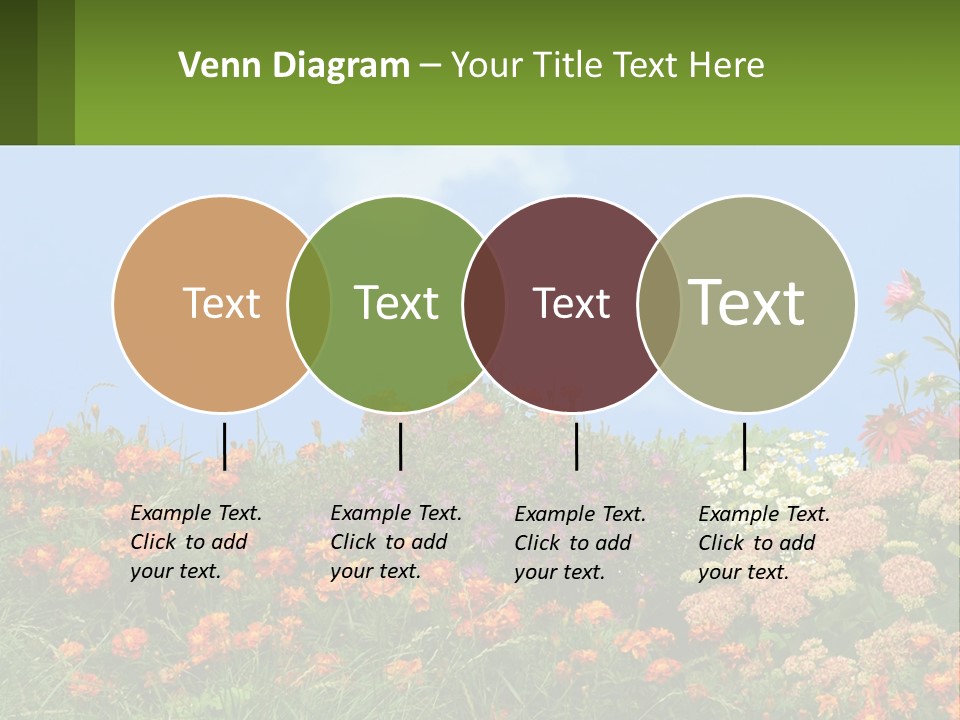 A Field Of Flowers With A Sky Background PowerPoint Template