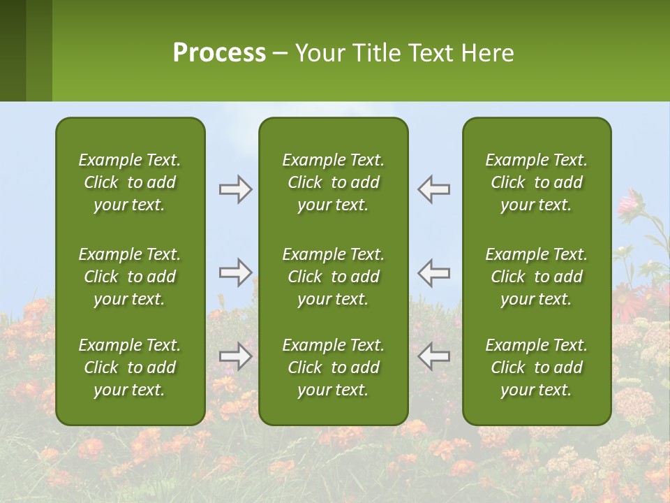 A Field Of Flowers With A Sky Background PowerPoint Template