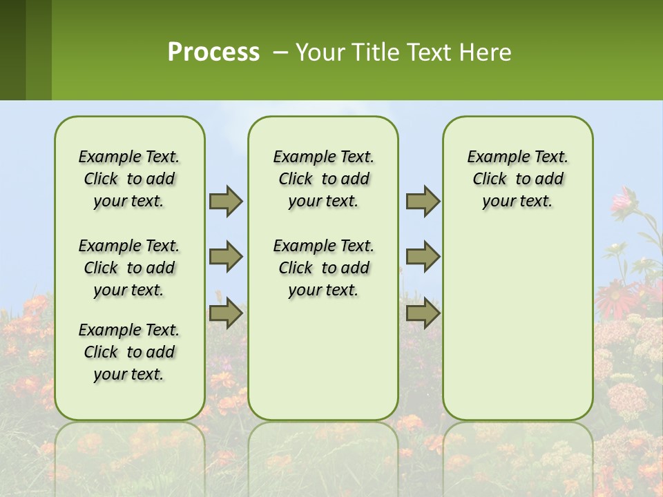 A Field Of Flowers With A Sky Background PowerPoint Template