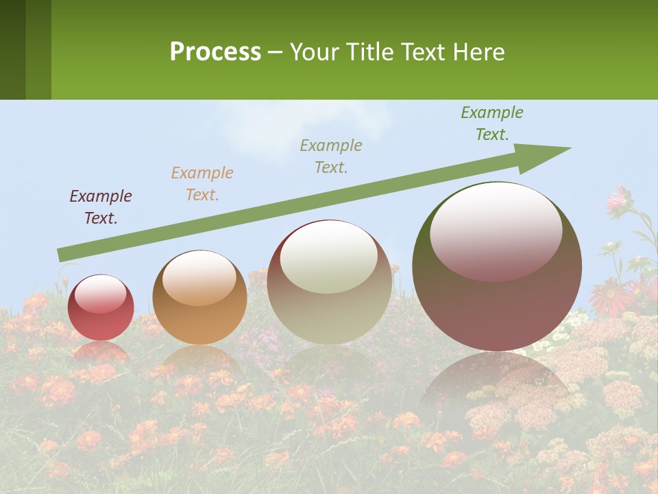 A Field Of Flowers With A Sky Background PowerPoint Template