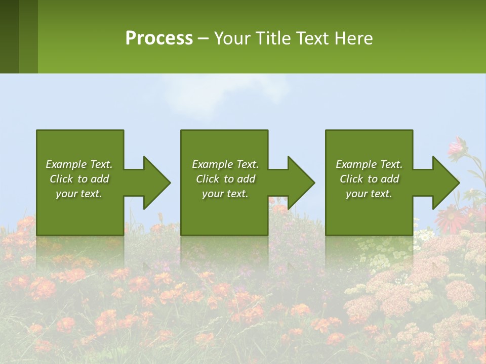 A Field Of Flowers With A Sky Background PowerPoint Template