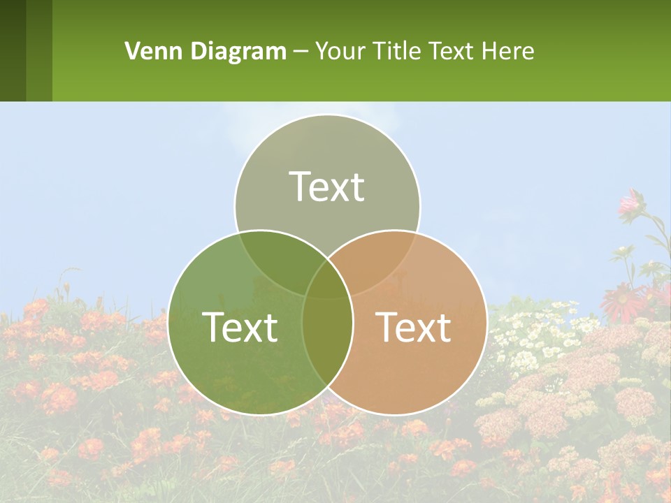 A Field Of Flowers With A Sky Background PowerPoint Template