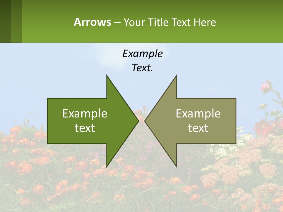 A Field Of Flowers With A Sky Background PowerPoint Template