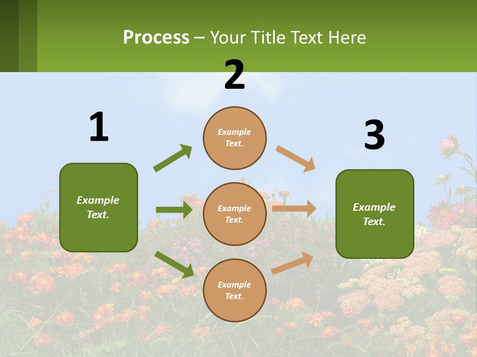 A Field Of Flowers With A Sky Background PowerPoint Template