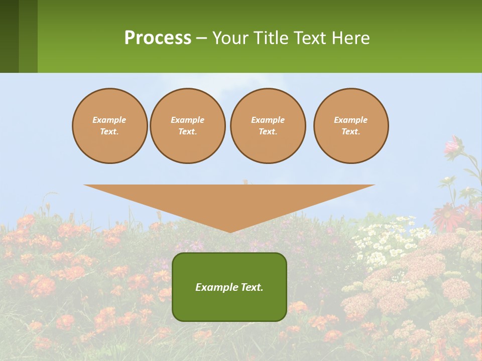 A Field Of Flowers With A Sky Background PowerPoint Template