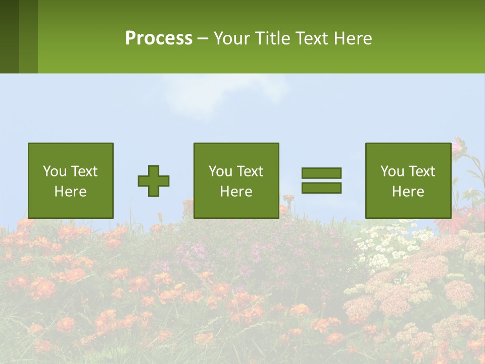 A Field Of Flowers With A Sky Background PowerPoint Template