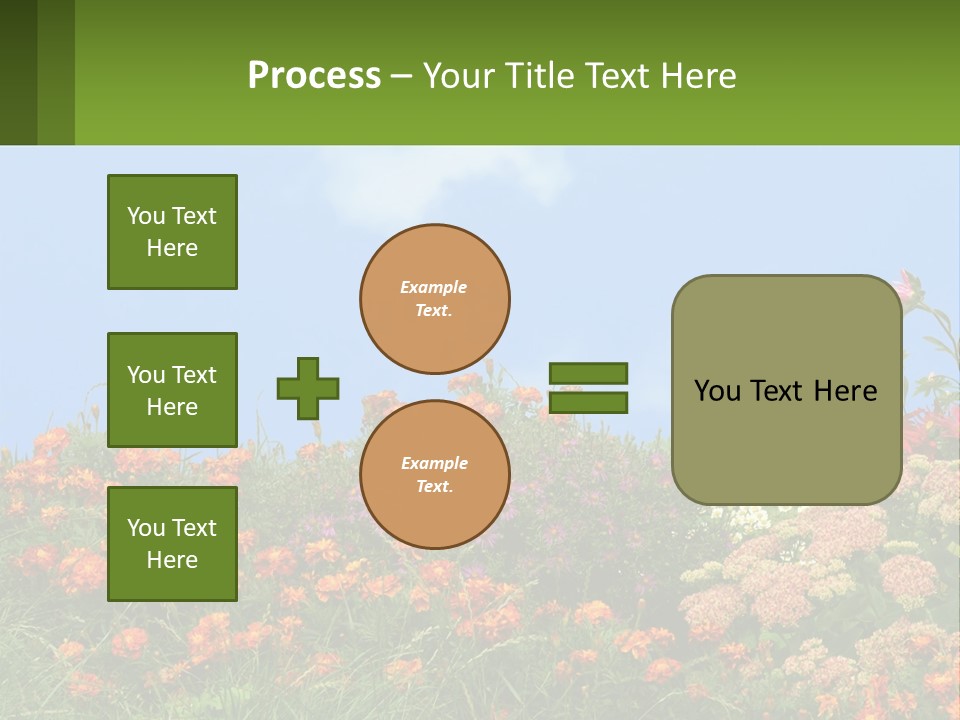 A Field Of Flowers With A Sky Background PowerPoint Template