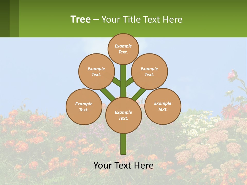 A Field Of Flowers With A Sky Background PowerPoint Template