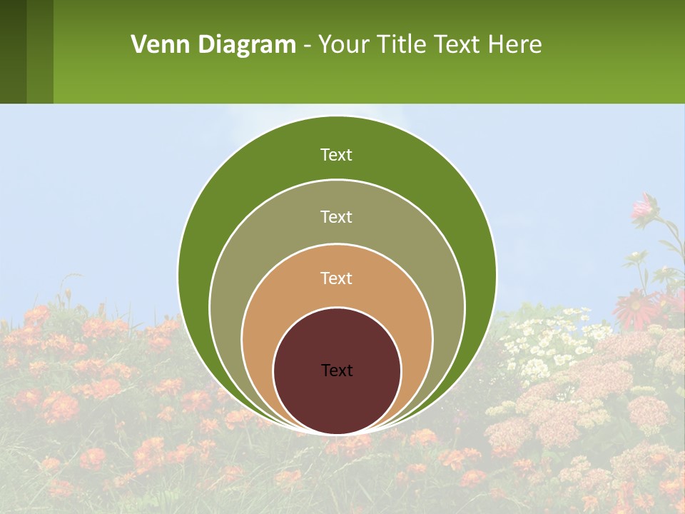 A Field Of Flowers With A Sky Background PowerPoint Template