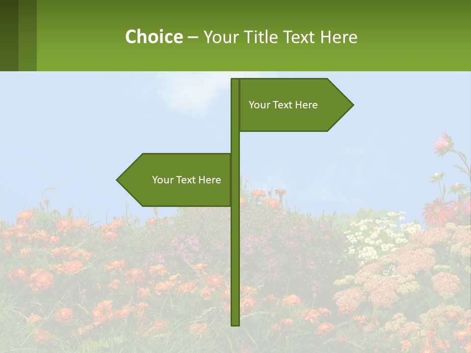 A Field Of Flowers With A Sky Background PowerPoint Template