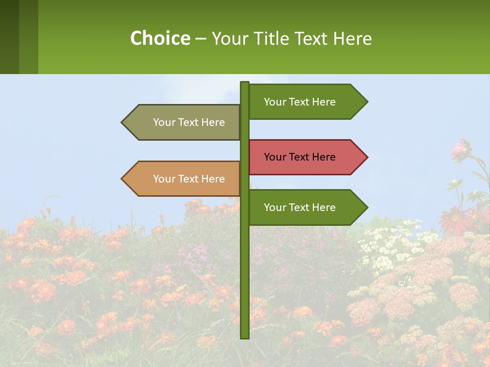 A Field Of Flowers With A Sky Background PowerPoint Template