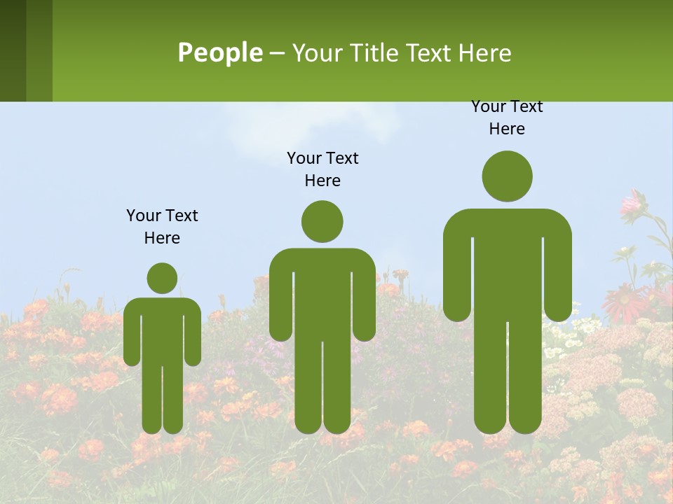 A Field Of Flowers With A Sky Background PowerPoint Template