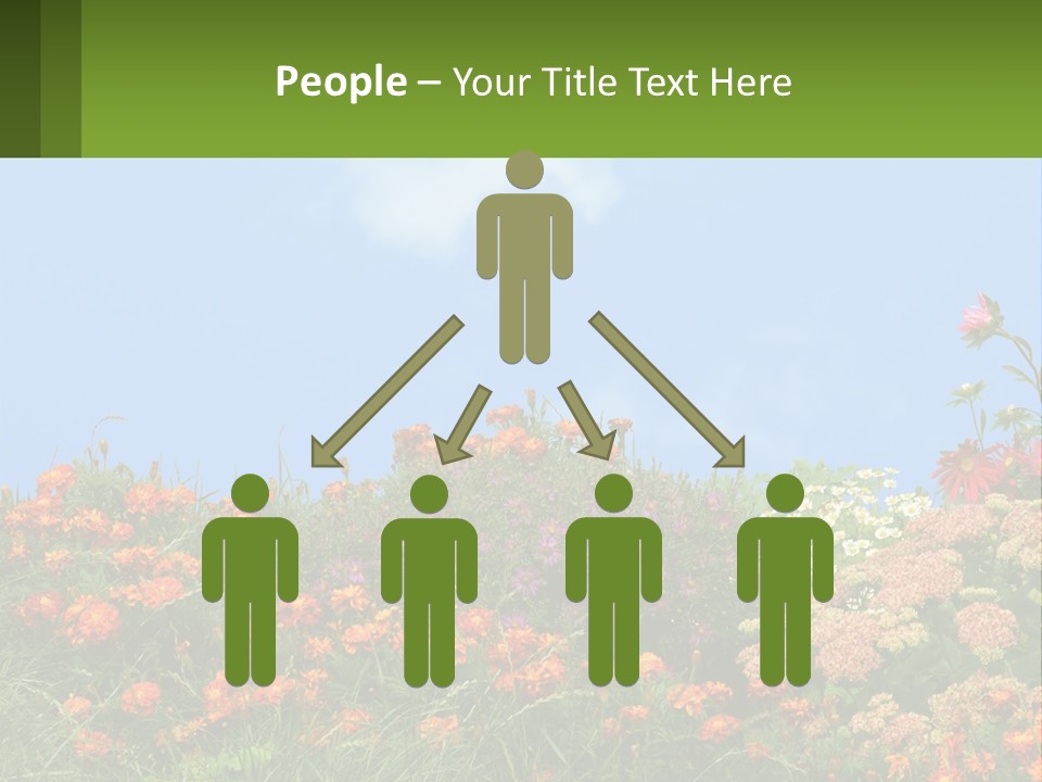 A Field Of Flowers With A Sky Background PowerPoint Template