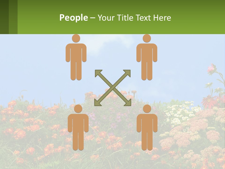 A Field Of Flowers With A Sky Background PowerPoint Template