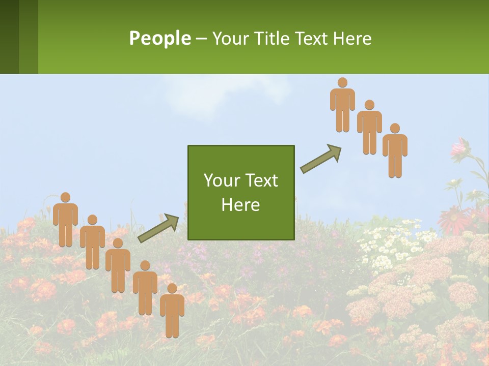 A Field Of Flowers With A Sky Background PowerPoint Template