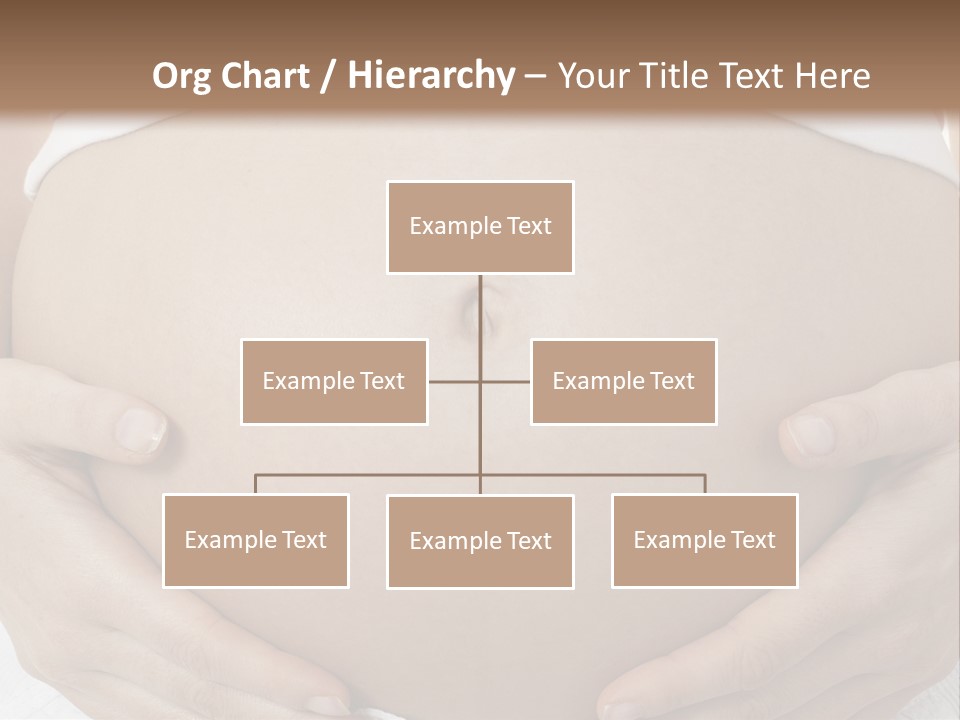 A Pregnant Woman Holding Her Belly In Her Hands PowerPoint Template