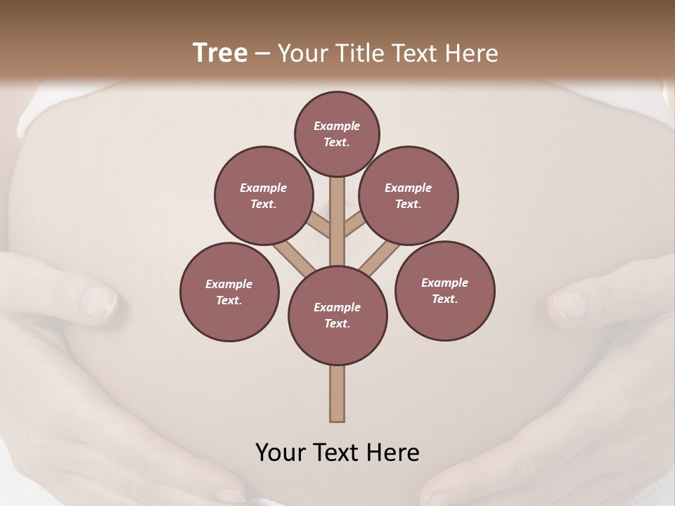 A Pregnant Woman Holding Her Belly In Her Hands PowerPoint Template