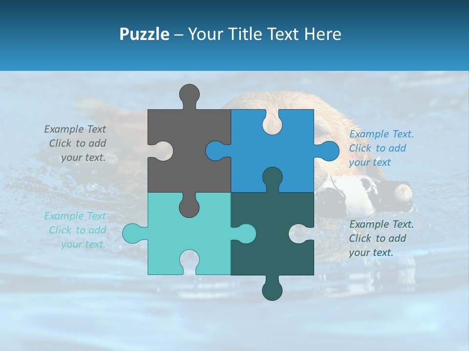 A Dog Swimming In A Pool With A Toy In Its Mouth PowerPoint Template