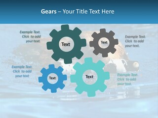 A Dog Swimming In A Pool With A Toy In Its Mouth PowerPoint Template