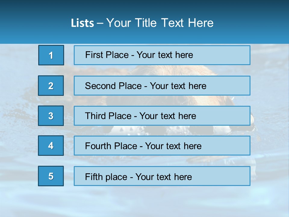 A Dog Swimming In A Pool With A Toy In Its Mouth PowerPoint Template