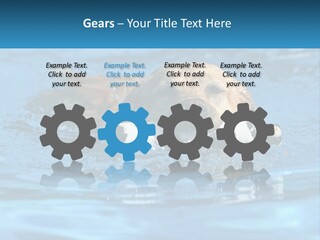 A Dog Swimming In A Pool With A Toy In Its Mouth PowerPoint Template