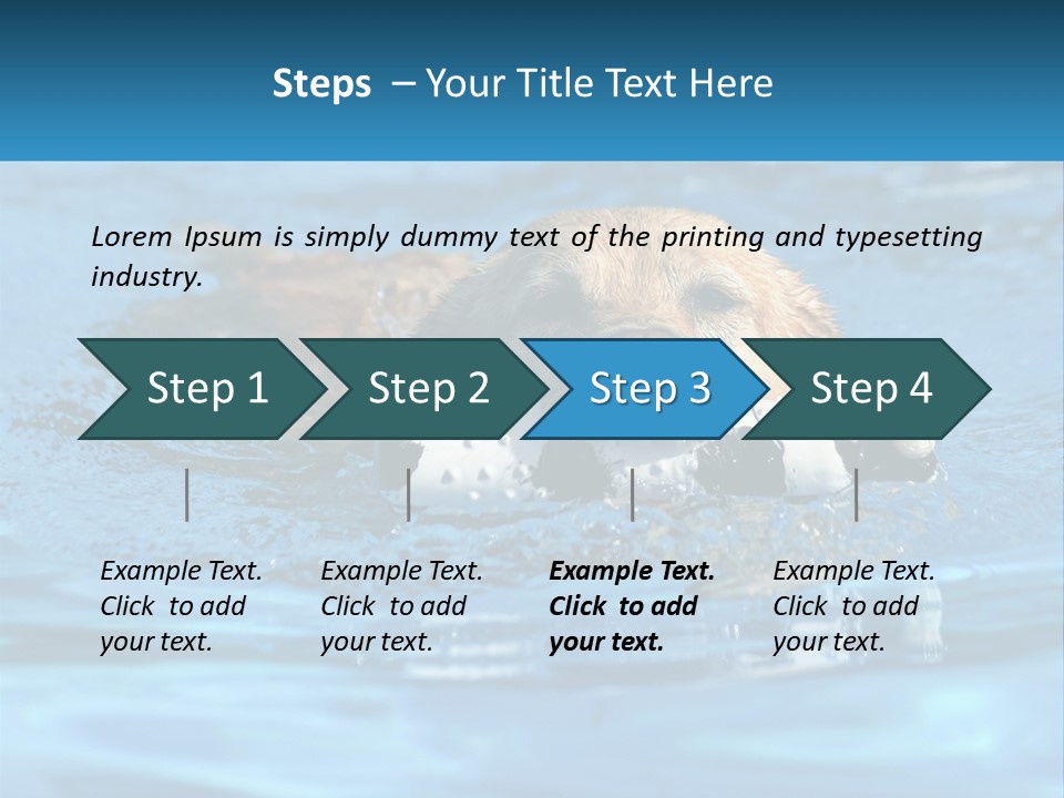 A Dog Swimming In A Pool With A Toy In Its Mouth PowerPoint Template