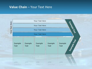 A Dog Swimming In A Pool With A Toy In Its Mouth PowerPoint Template