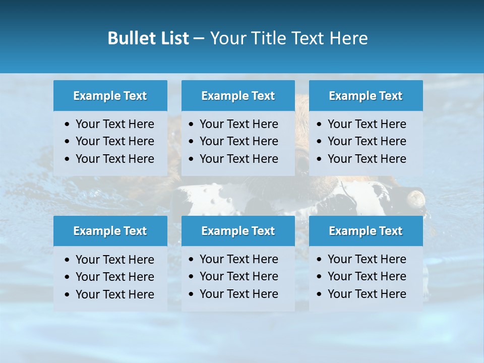 A Dog Swimming In A Pool With A Toy In Its Mouth PowerPoint Template