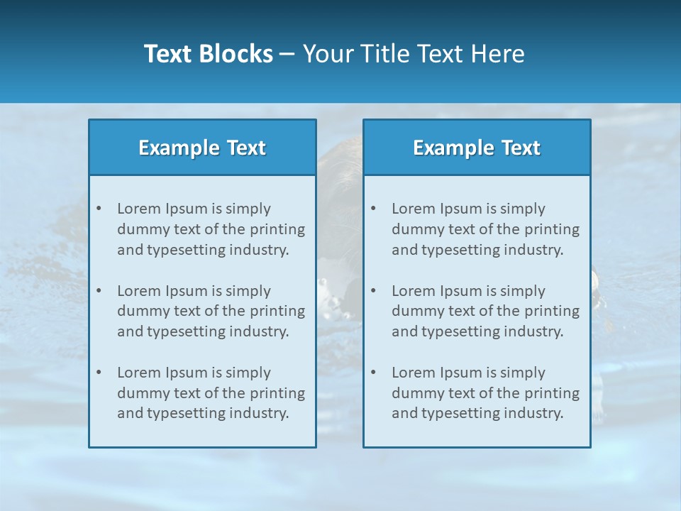 A Dog Swimming In A Pool With A Toy In Its Mouth PowerPoint Template