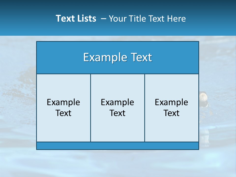 A Dog Swimming In A Pool With A Toy In Its Mouth PowerPoint Template