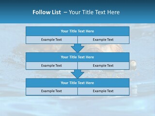 A Dog Swimming In A Pool With A Toy In Its Mouth PowerPoint Template