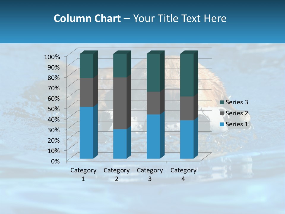 A Dog Swimming In A Pool With A Toy In Its Mouth PowerPoint Template