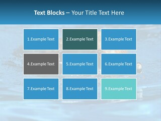 A Dog Swimming In A Pool With A Toy In Its Mouth PowerPoint Template