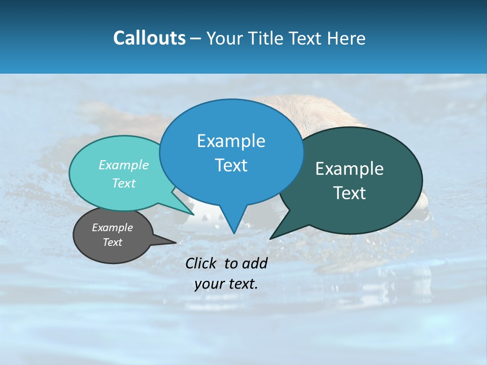 A Dog Swimming In A Pool With A Toy In Its Mouth PowerPoint Template