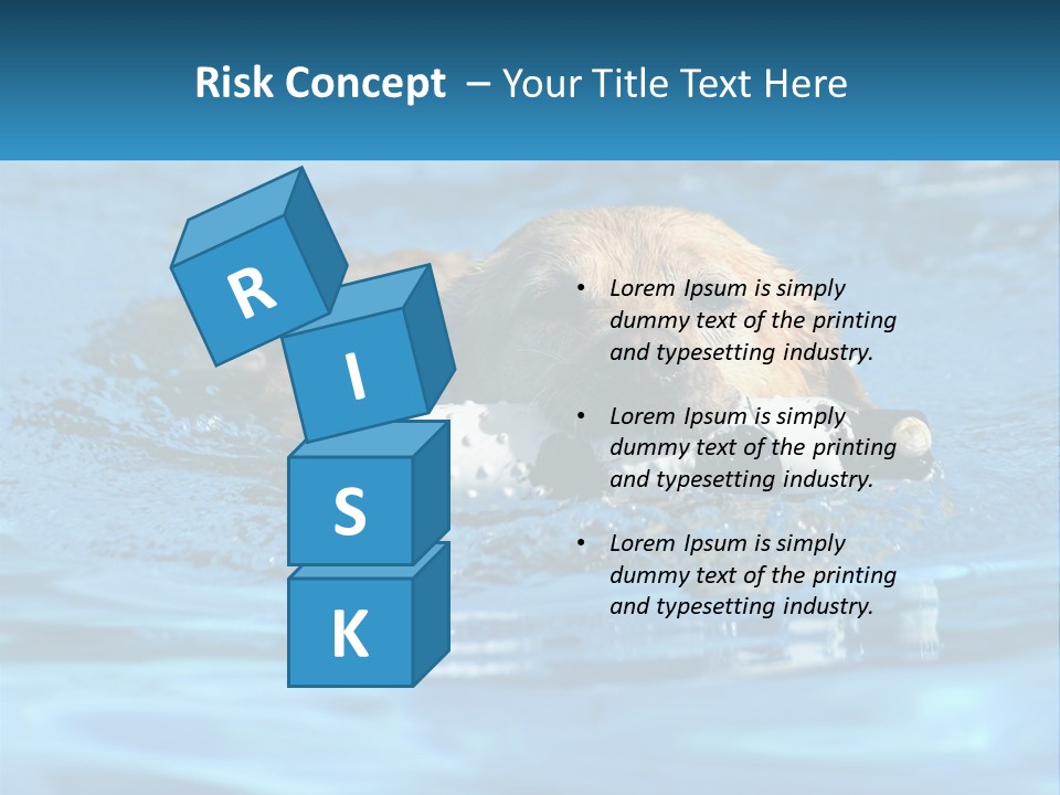 A Dog Swimming In A Pool With A Toy In Its Mouth PowerPoint Template