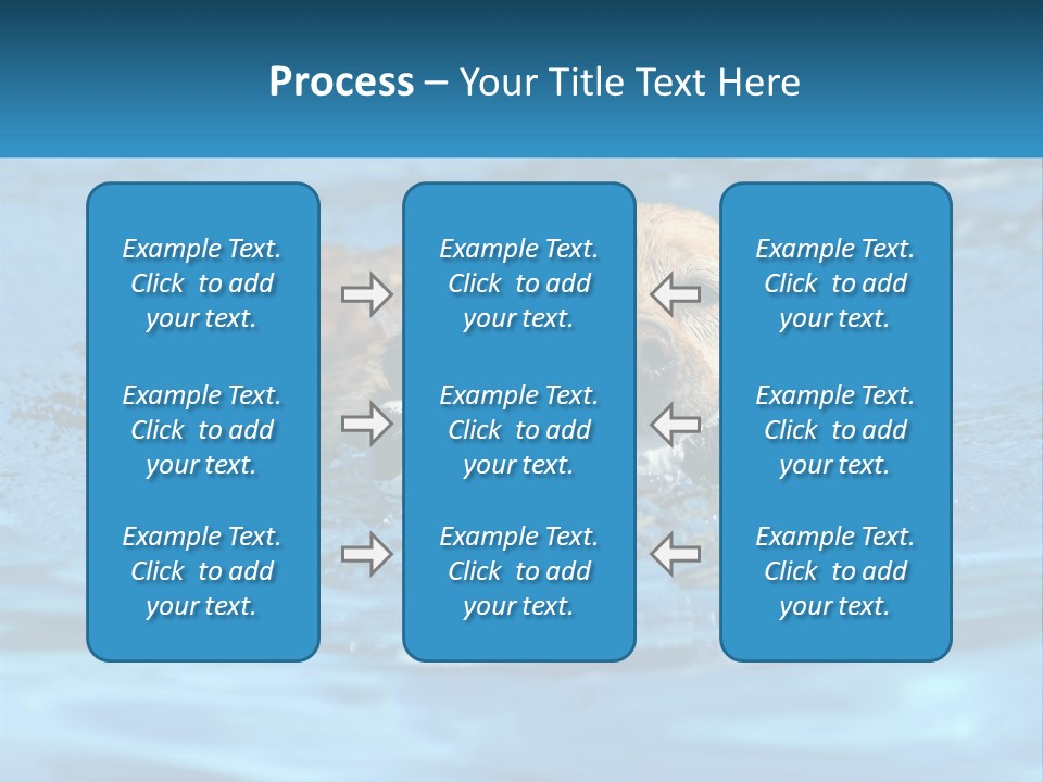A Dog Swimming In A Pool With A Toy In Its Mouth PowerPoint Template