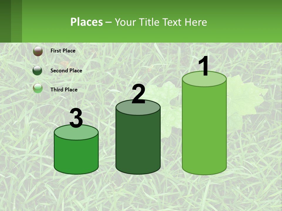 A Green Leafy Plant In The Middle Of Some Grass PowerPoint Template