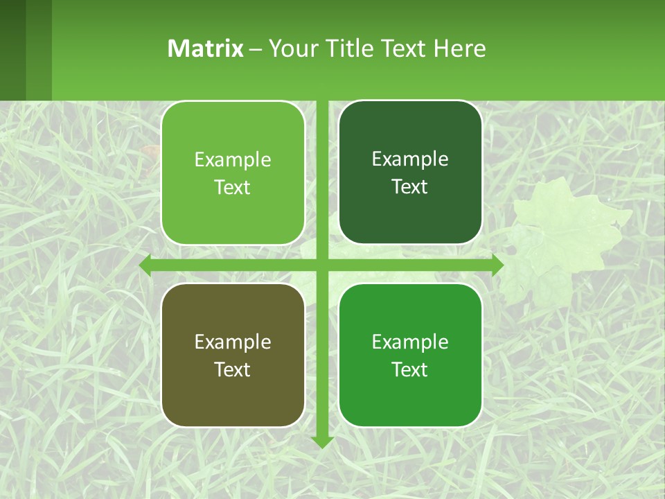 A Green Leafy Plant In The Middle Of Some Grass PowerPoint Template