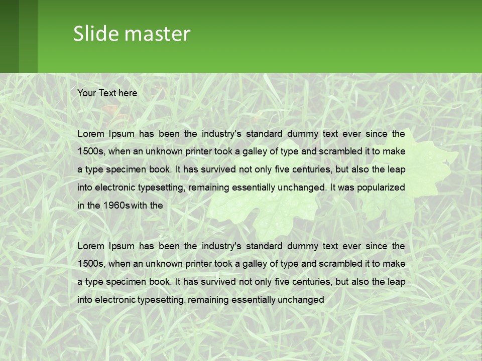 A Green Leafy Plant In The Middle Of Some Grass PowerPoint Template