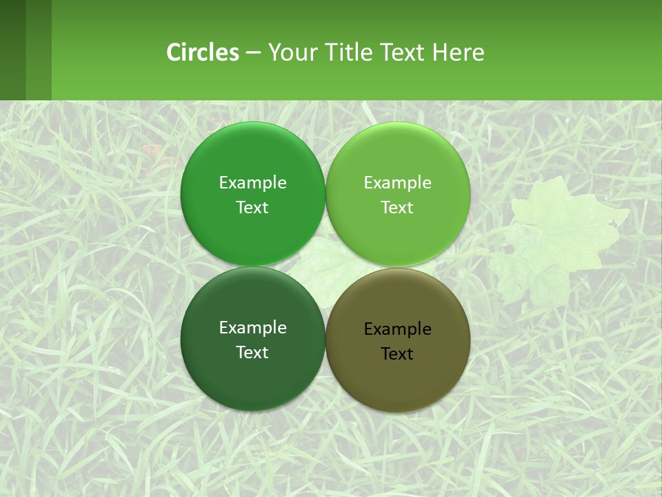 A Green Leafy Plant In The Middle Of Some Grass PowerPoint Template