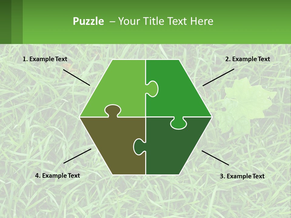 A Green Leafy Plant In The Middle Of Some Grass PowerPoint Template