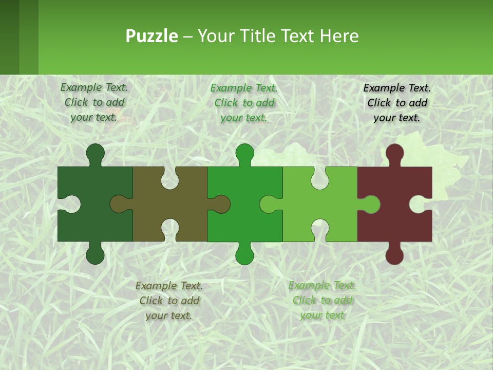 A Green Leafy Plant In The Middle Of Some Grass PowerPoint Template