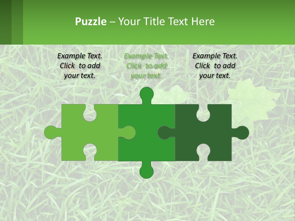 A Green Leafy Plant In The Middle Of Some Grass PowerPoint Template