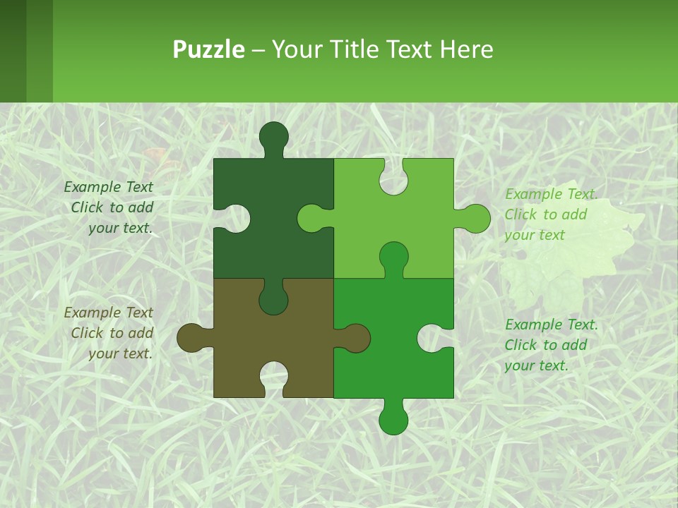 A Green Leafy Plant In The Middle Of Some Grass PowerPoint Template