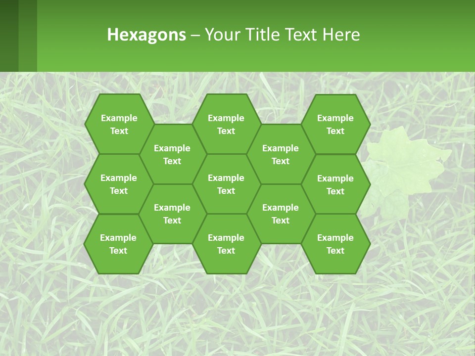 A Green Leafy Plant In The Middle Of Some Grass PowerPoint Template
