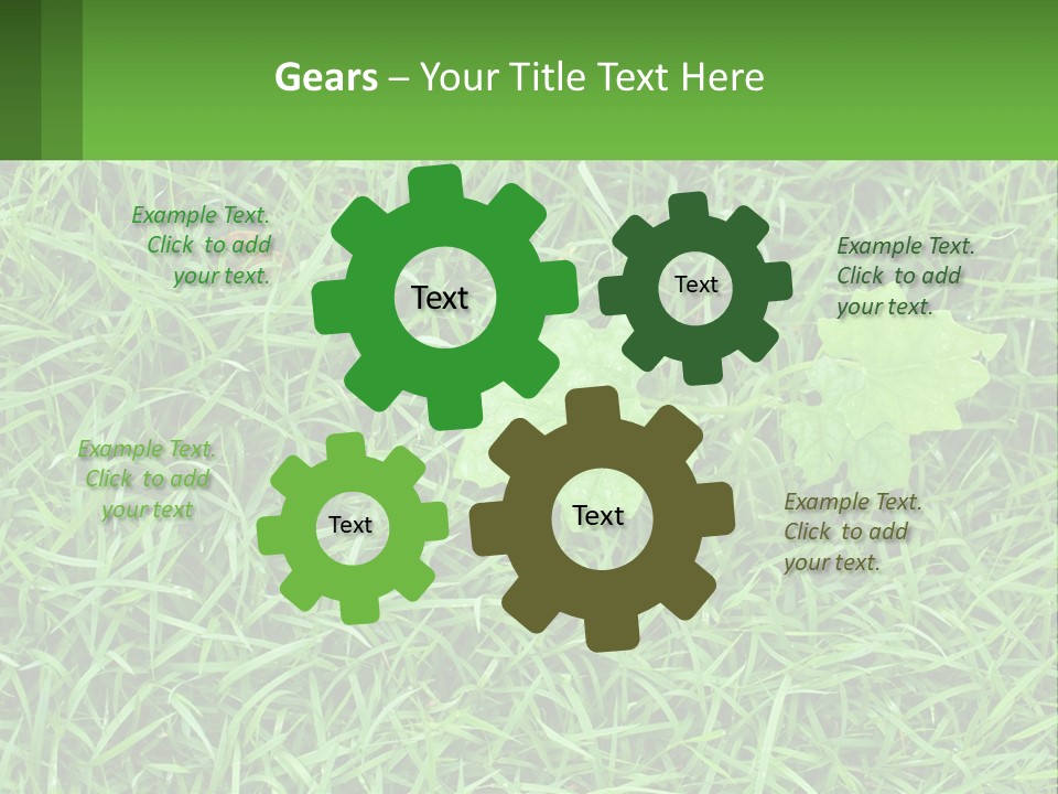 A Green Leafy Plant In The Middle Of Some Grass PowerPoint Template