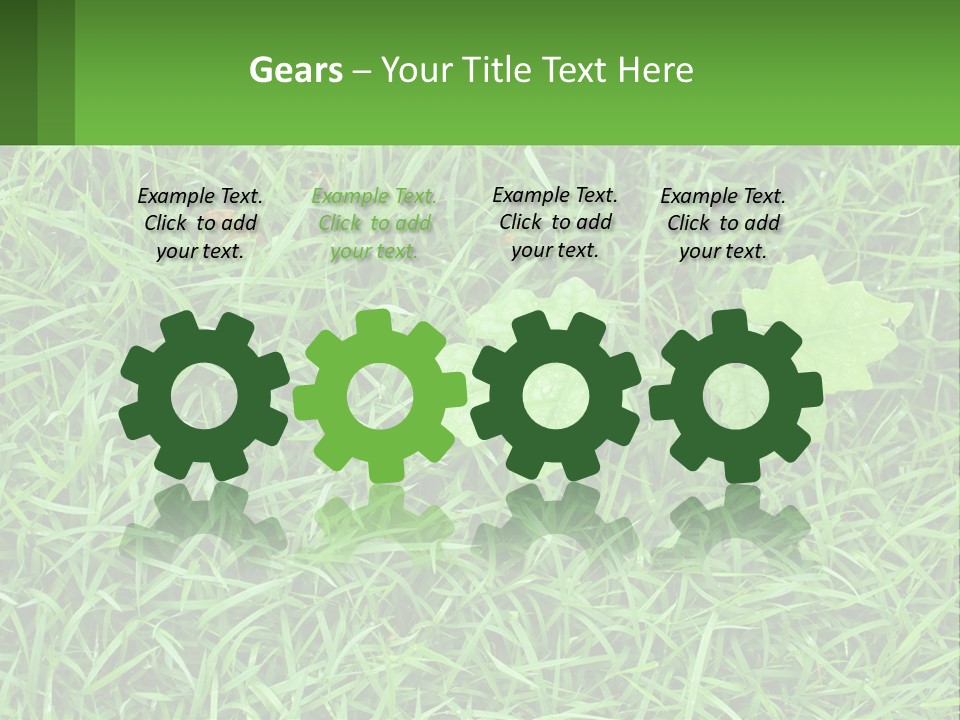 A Green Leafy Plant In The Middle Of Some Grass PowerPoint Template