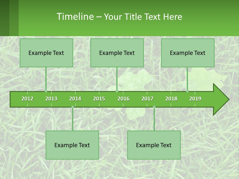 A Green Leafy Plant In The Middle Of Some Grass PowerPoint Template